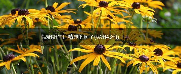 祝姐姐生日精典的句子(实用43句),第1张