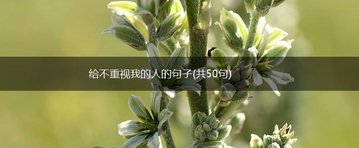 给不重视我的人的句子(共50句),第1张