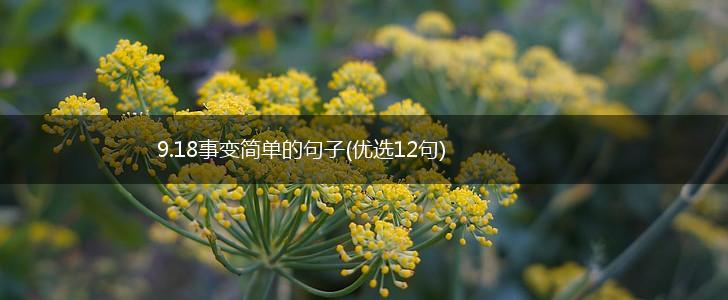 9.18事变简单的句子(优选12句),第1张