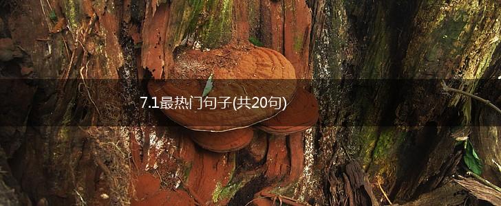 7.1最热门句子(共20句),第1张