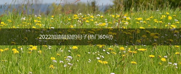 2022加油鼓励的句子(热门60句),第1张
