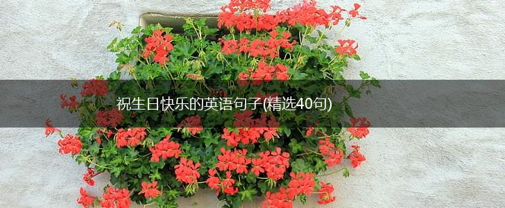 祝生日快乐的英语句子(精选40句),第1张