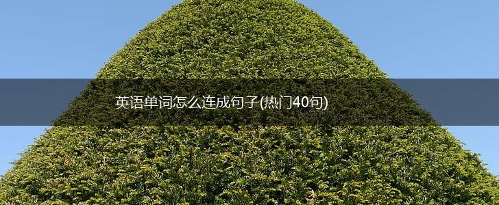 英语单词怎么连成句子(热门40句),第1张