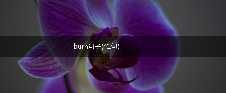 burn句子(41句),第1张