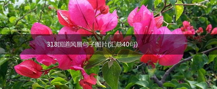318国道风景句子图片(汇总40句),第1张