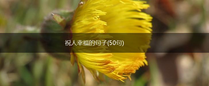 祝人幸福的句子(50句),第1张