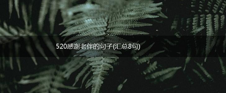 520感谢老伴的句子(汇总8句),第1张
