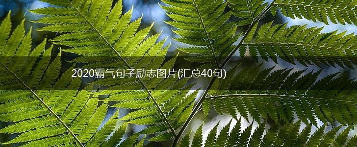 2020霸气句子励志图片(汇总40句),第1张