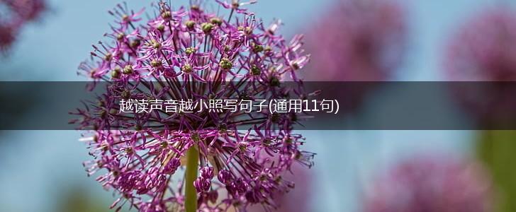 越读声音越小照写句子(通用11句),第1张