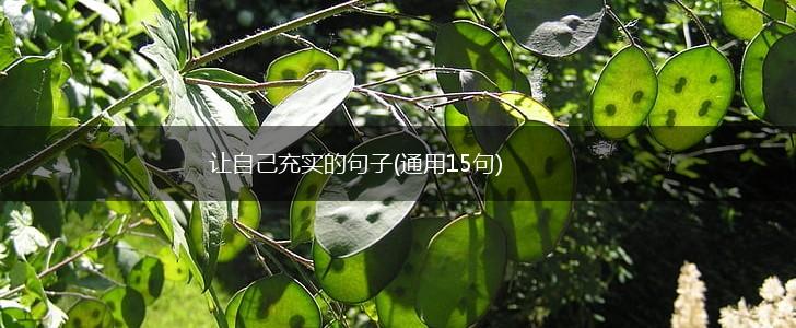 让自己充实的句子(通用15句),第1张