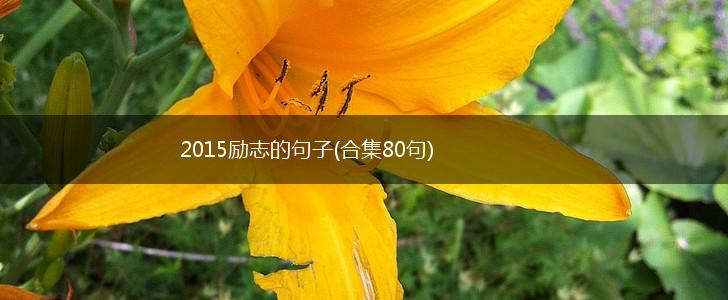 2015励志的句子(合集80句),第1张