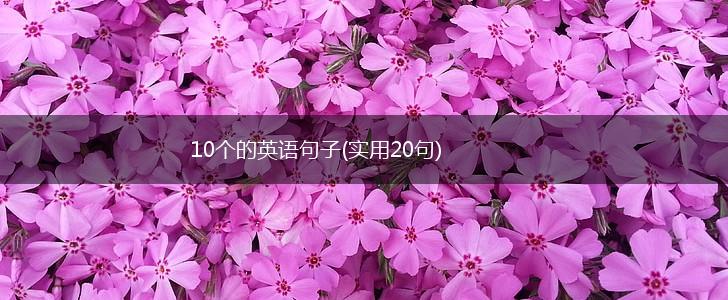 10个的英语句子(实用20句),第1张