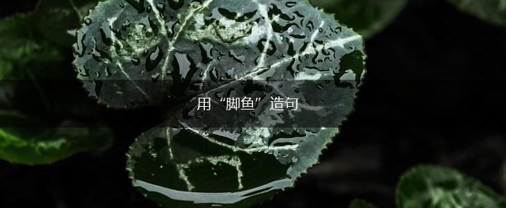 用“脚鱼”造句,第1张
