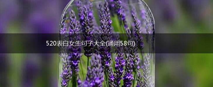520表白女生句子大全(通用58句),第1张