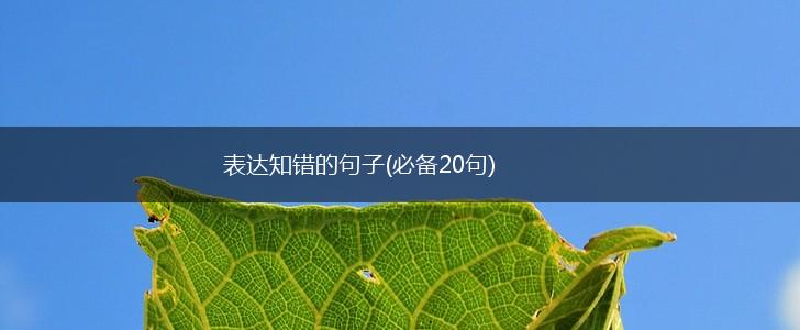 表达知错的句子(必备20句),第1张