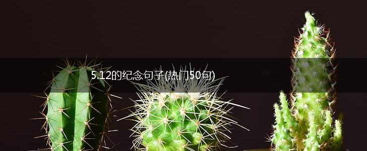 5.12的纪念句子(热门50句),第1张