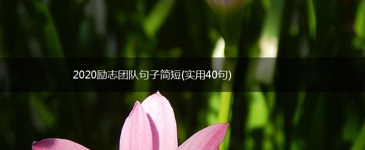 2020励志团队句子简短(实用40句),第1张