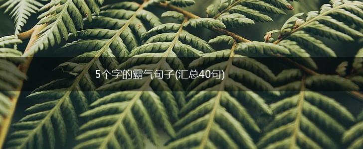 5个字的霸气句子(汇总40句),第1张
