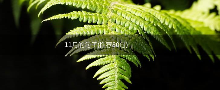 11月的句子(推荐80句),第1张