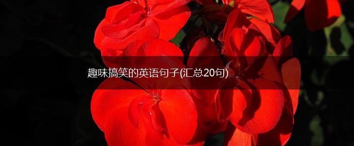 趣味搞笑的英语句子(汇总20句),第1张