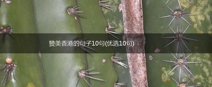 赞美香港的句子10句(优选10句),第1张