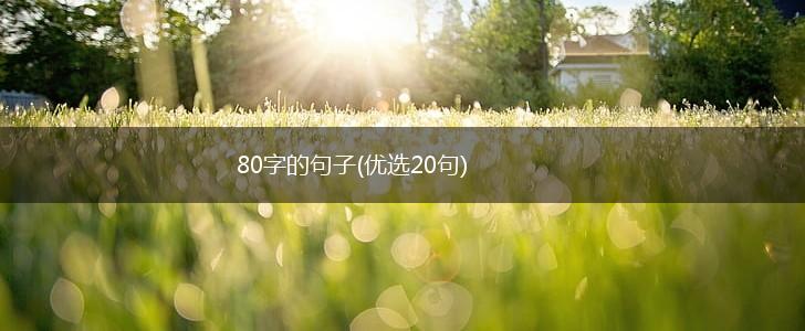 80字的句子(优选20句),第1张