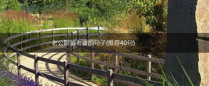 老公欺骗老婆的句子(推荐40句),第1张