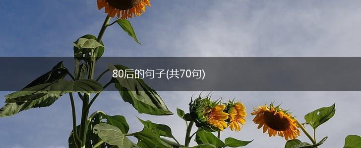 80后的句子(共70句),第1张