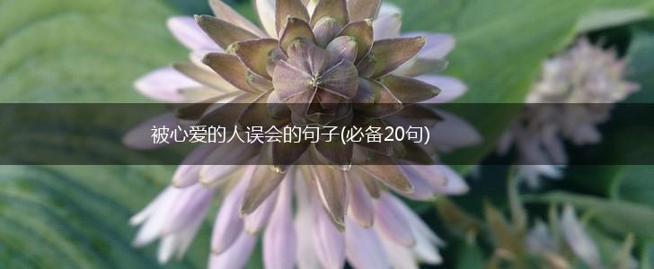 被心爱的人误会的句子(必备20句),第1张