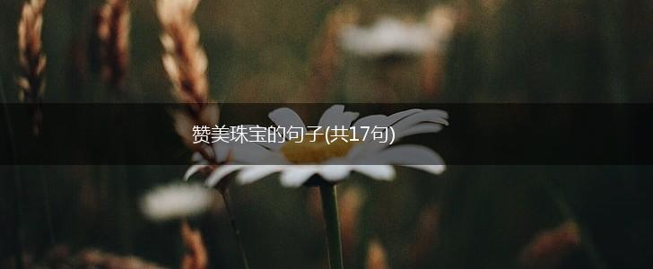 赞美珠宝的句子(共17句),第1张