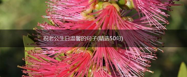 祝老公生日温馨的句子(精选50句),第1张