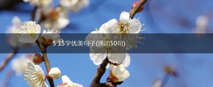 5 15字优美句子(通用50句),第1张
