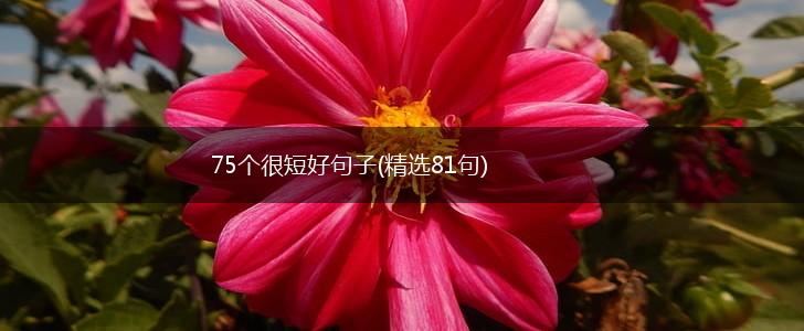 75个很短好句子(精选81句),第1张