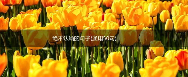 绝不认输的句子(通用50句),第1张