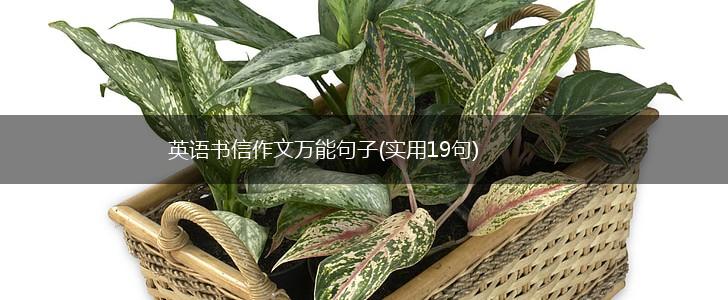 英语书信作文万能句子(实用19句),第1张
