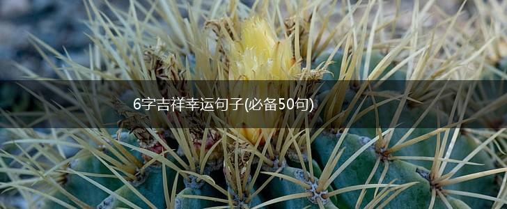 6字吉祥幸运句子(必备50句),第1张