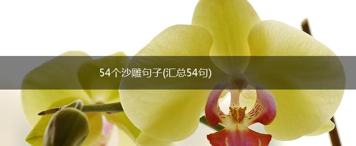 54个沙雕句子(汇总54句),第1张