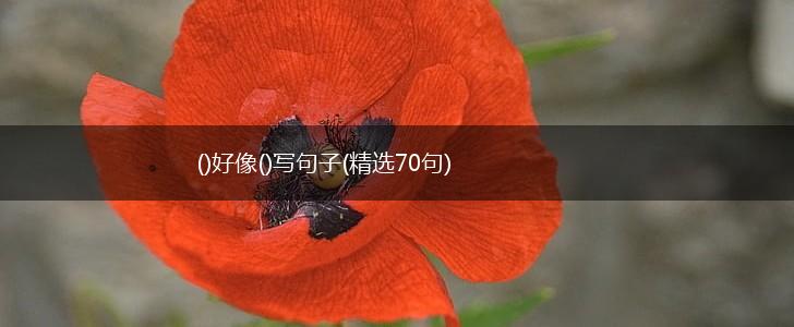 ()好像()写句子(精选70句),第1张