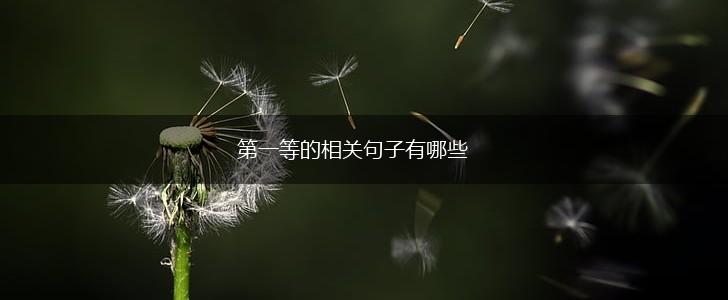 第一等的相关句子有哪些,第1张