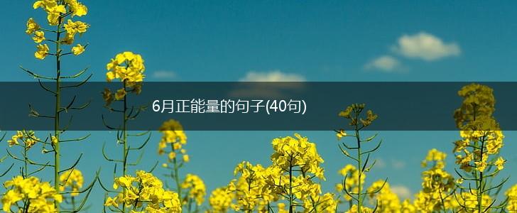 6月正能量的句子(40句),第1张