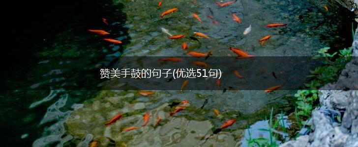 赞美手鼓的句子(优选51句),第1张