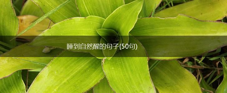 睡到自然醒的句子(50句),第1张