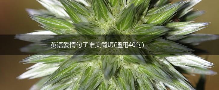 英语爱情句子唯美简短(通用40句),第1张
