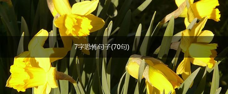 7字恐怖句子(70句),第1张