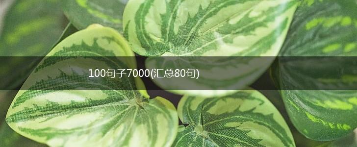 100句子7000(汇总80句),第1张