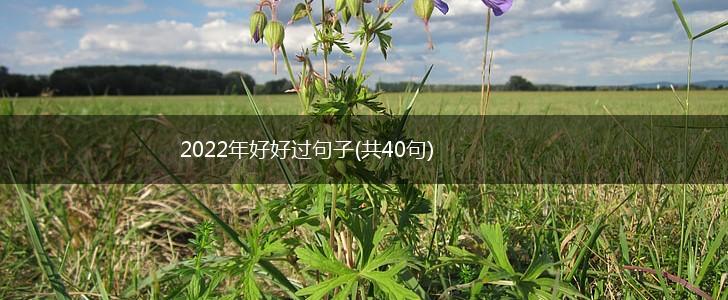 2022年好好过句子(共40句),第1张