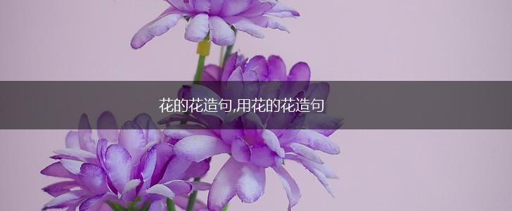 花的花造句,用花的花造句,第1张