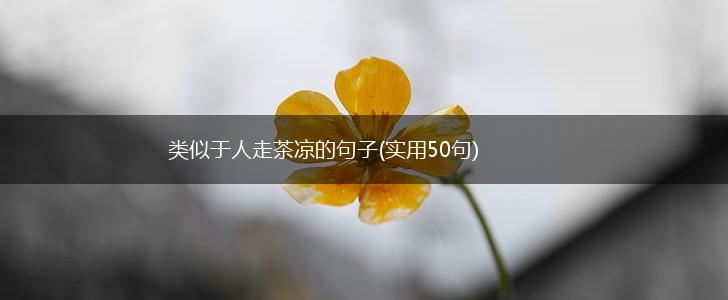 类似于人走茶凉的句子(实用50句),第1张