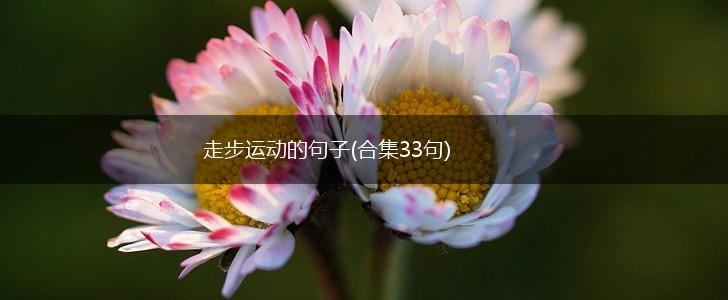 走步运动的句子(合集33句),第1张