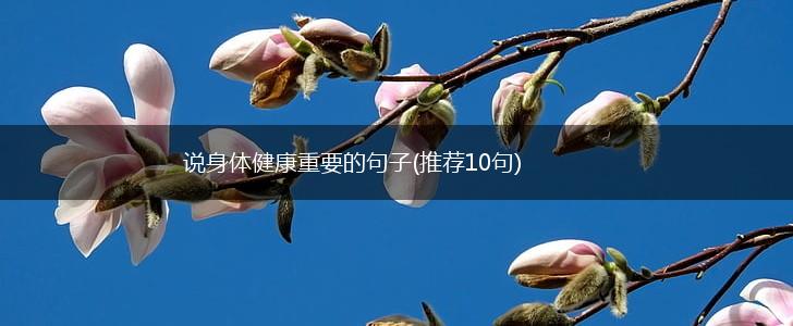 说身体健康重要的句子(推荐10句),第1张